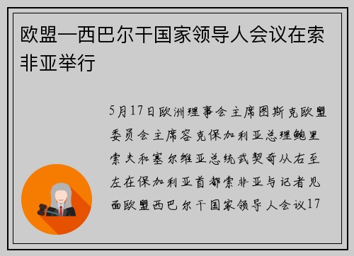 欧盟—西巴尔干国家领导人会议在索非亚举行
